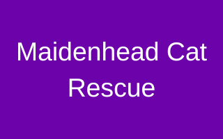 Maidenhead Cat Rescue